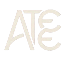 aaa removebg preview
